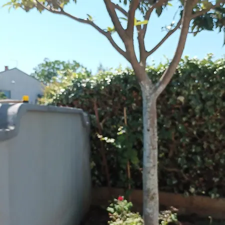 Monte Magno Appartement