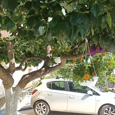 Διαμέρισμα Monte Magno