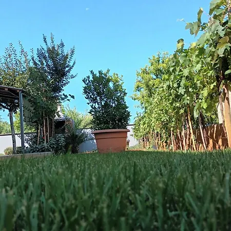 Monte Magno * Πούλα