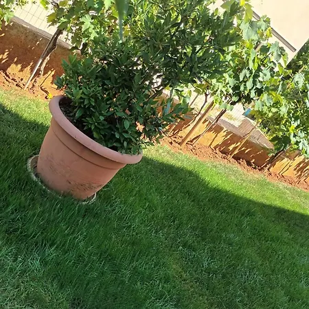 Monte Magno Διαμέρισμα