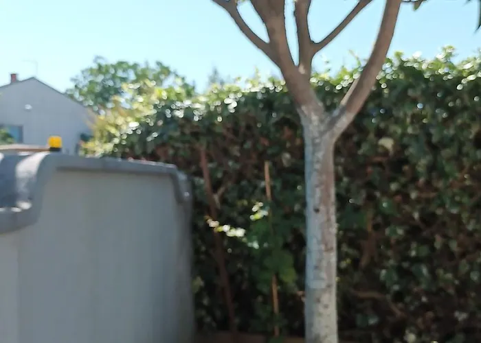 Monte Magno Apartamento