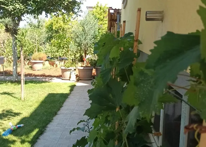 Monte Magno Pula