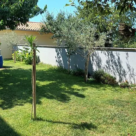 Monte Magno بولا