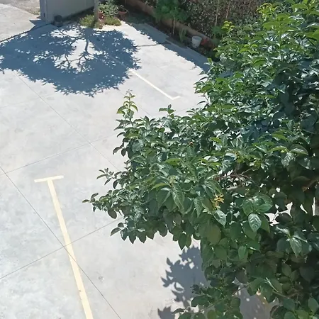 Apartment Monte Magno Pula
