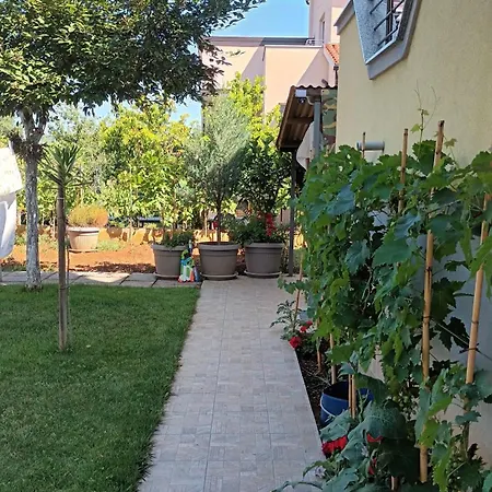 Monte Magno بولا