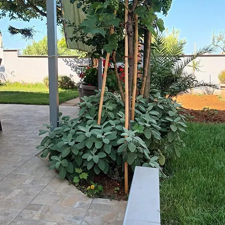Apartment Monte Magno Pula