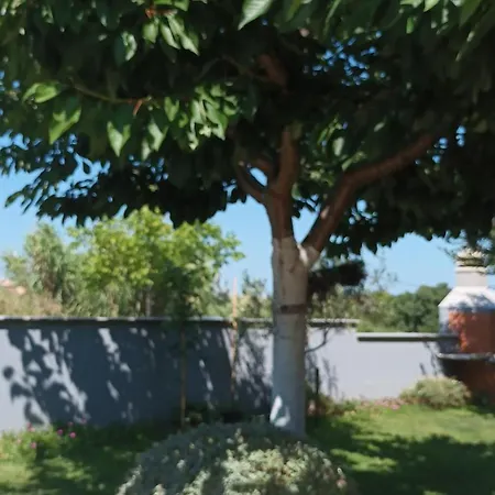 شقة Monte Magno *