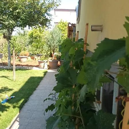 Monte Magno Pula