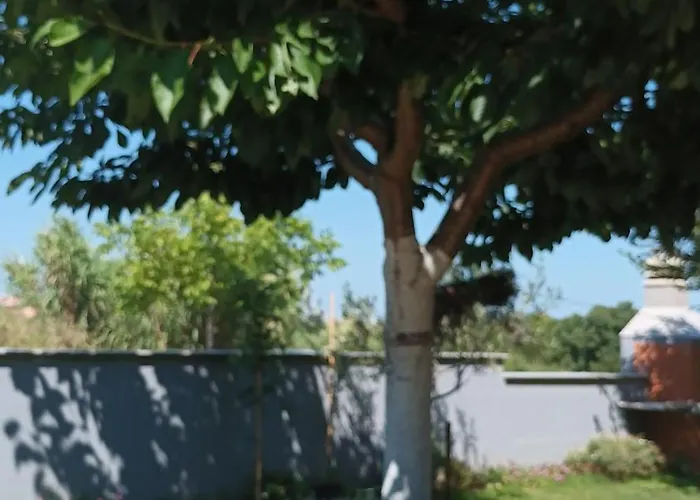 Apartment Monte Magno *