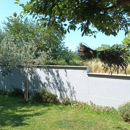 Monte Magno Lägenhet Pula