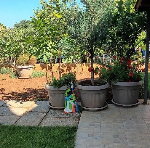 Apartament Monte Magno Pula