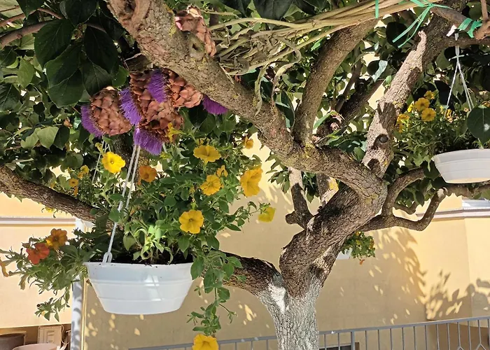 Monte Magno Apartament *