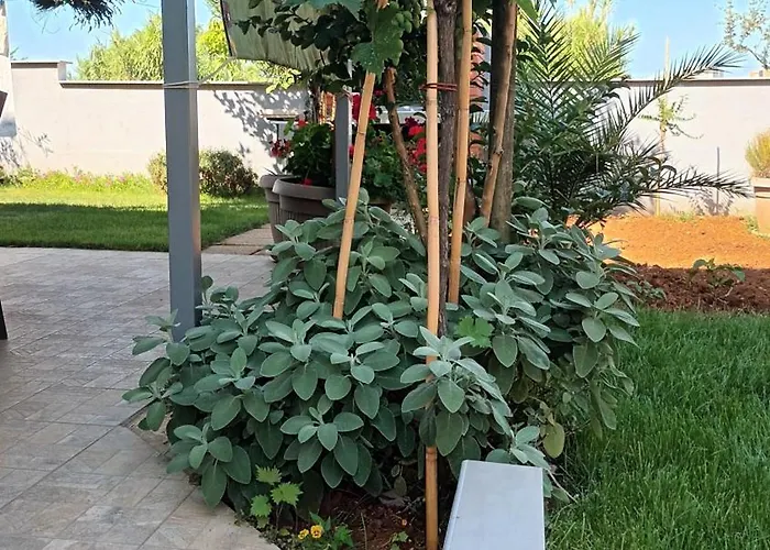 Apartament Monte Magno Pula