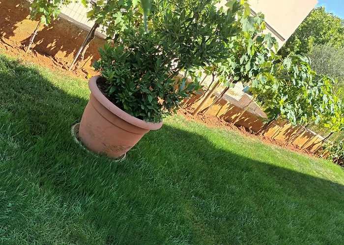 Monte Magno Apartament